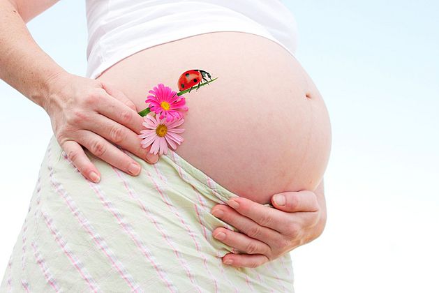 Babybauch